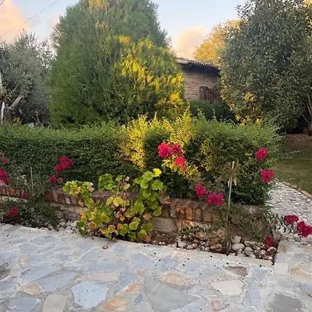 Marina Oasis * Vlorë