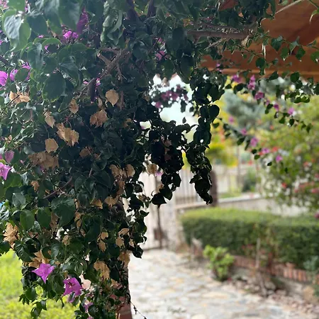 Marina Oasis Apartment Vlorë