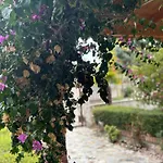 Marina Oasis Διαμέρισμα Vlorë