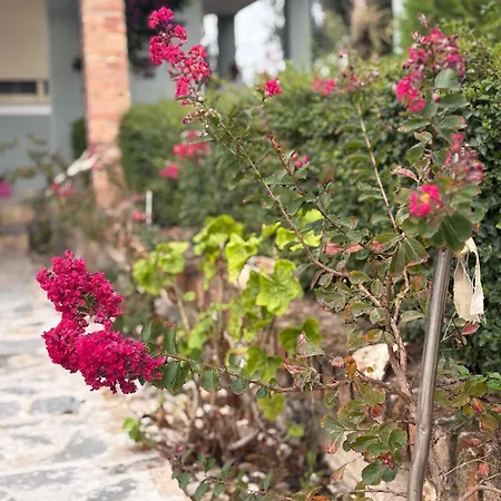 Marina Oasis * Avlonya