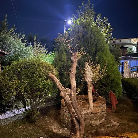 Marina Oasis