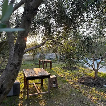 Apartment Marina Oasis Vlore