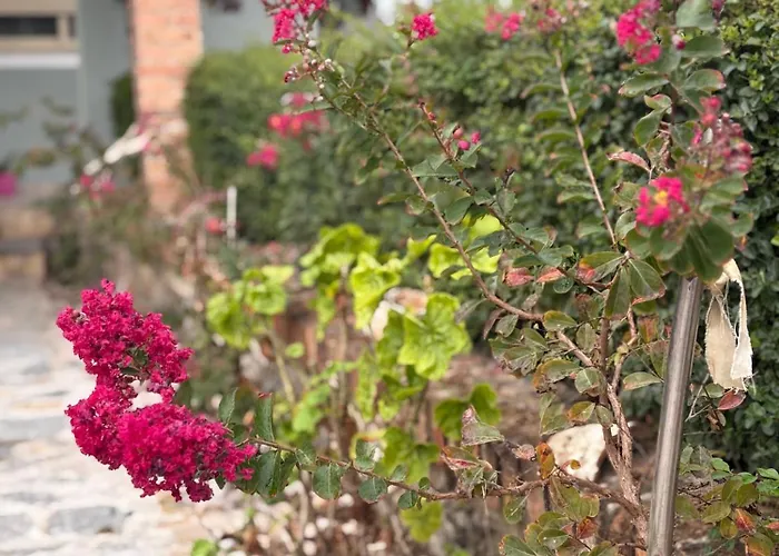 Marina Oasis * Влёра