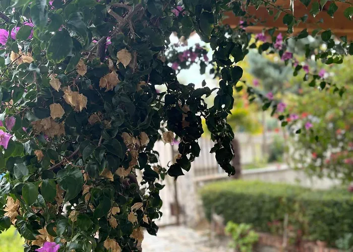 Marina Oasis Daire Avlonya